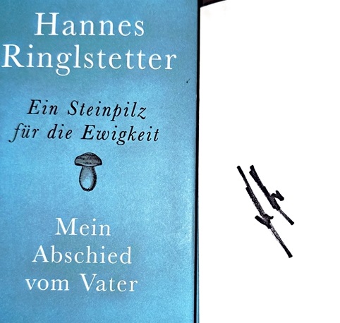 Hannes_Ringlstetter_1