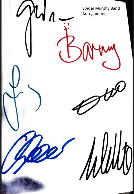 Spider_Murphy_Gang5